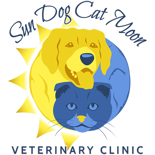 Veterinarian in Johns Island, SC - Sun Dog Cat Moon Veterinary Clinic