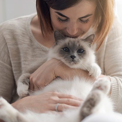 Woman holding a cute cat