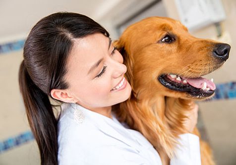 doctor-and-golden-retriever